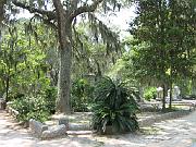 Savannah - Aug 2007 - 048